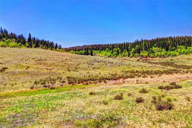 2290 Arrowhead Dr, Como, CO 80432