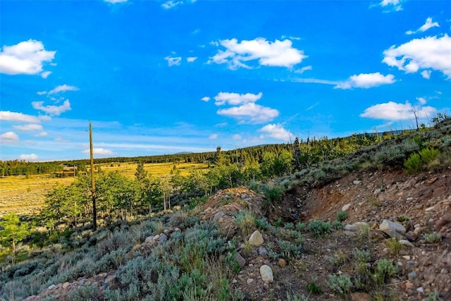 1430 Coil Dr, Fairplay, CO 80440