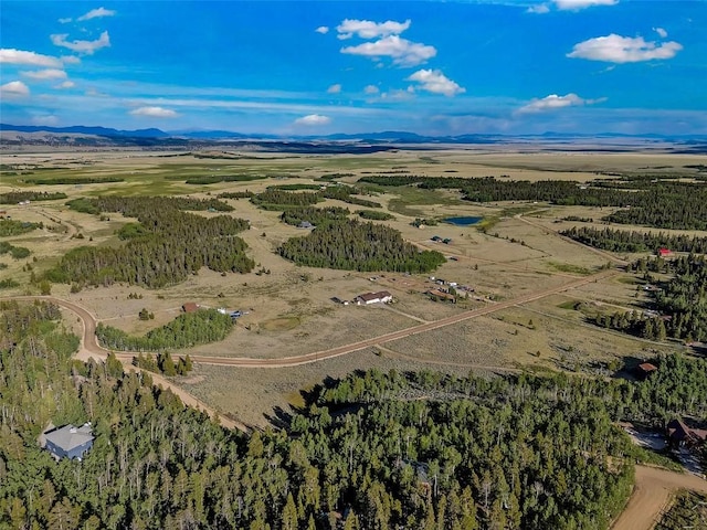 1430 Coil Dr, Fairplay, CO 80440