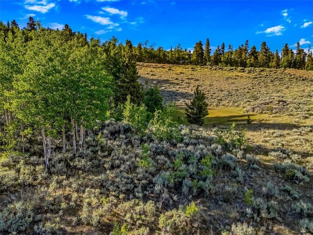 1430 Coil Dr, Fairplay, CO 80440