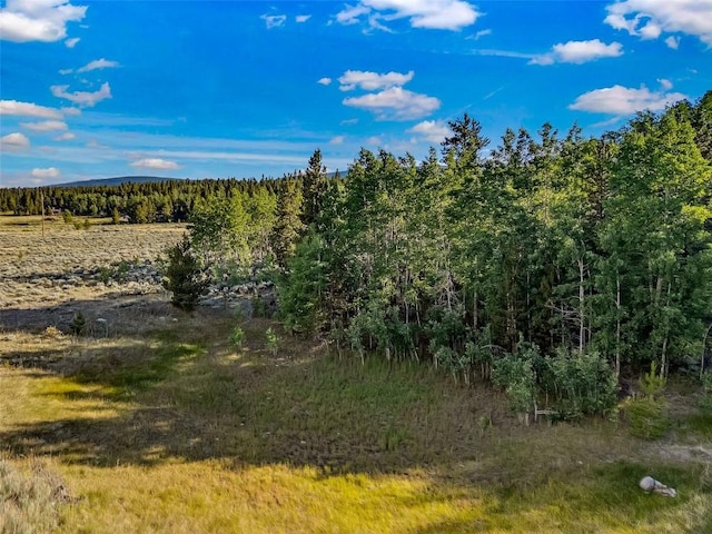 1430 Coil Dr, Fairplay, CO 80440