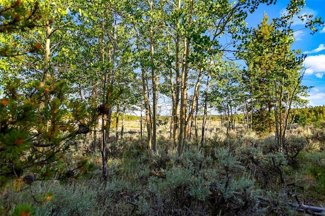 1430 Coil Dr, Fairplay, CO 80440