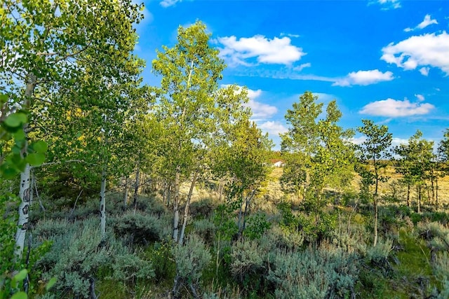1430 Coil Dr, Fairplay, CO 80440