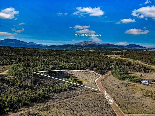 1430 Coil Dr, Fairplay, CO 80440