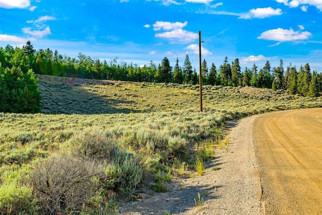 1430 Coil Dr, Fairplay, CO 80440