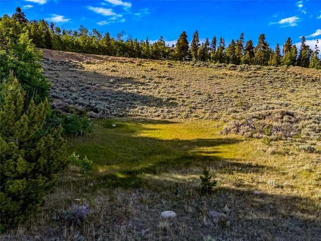 1430 Coil Dr, Fairplay, CO 80440