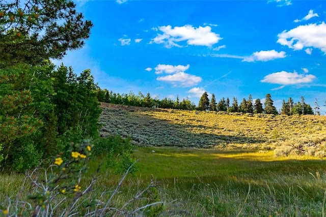 1430 Coil Dr, Fairplay, CO 80440