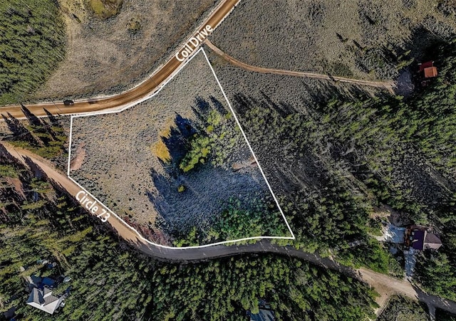 1430 Coil Dr, Fairplay, CO 80440