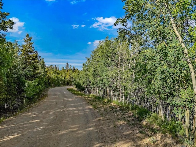 1430 Coil Dr, Fairplay, CO 80440