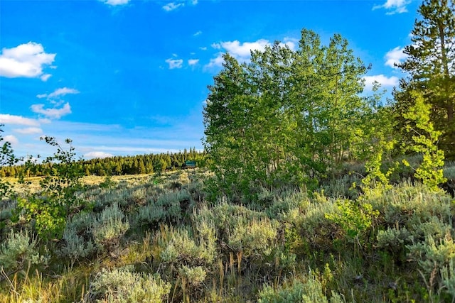 1430 Coil Dr, Fairplay, CO 80440