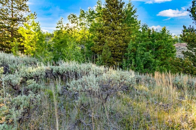 1430 Coil Dr, Fairplay, CO 80440