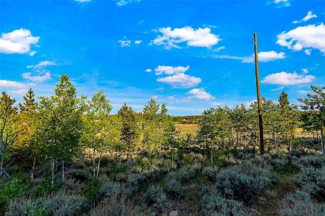 1430 Coil Dr, Fairplay, CO 80440
