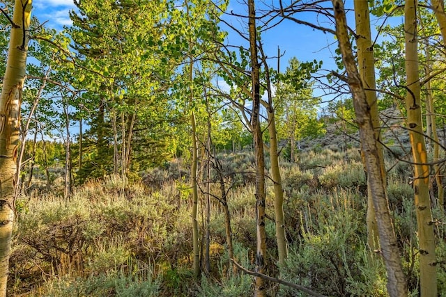 1430 Coil Dr, Fairplay, CO 80440