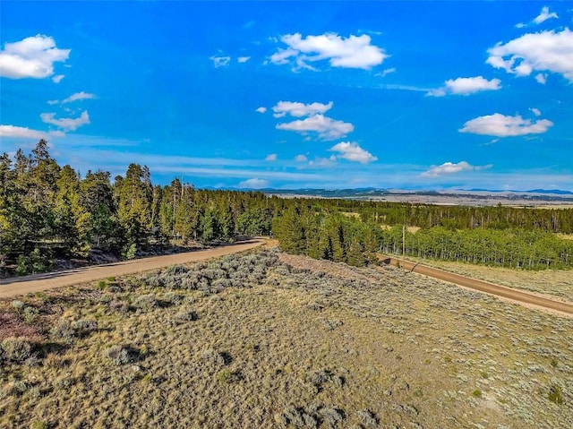 1430 Coil Dr, Fairplay, CO 80440