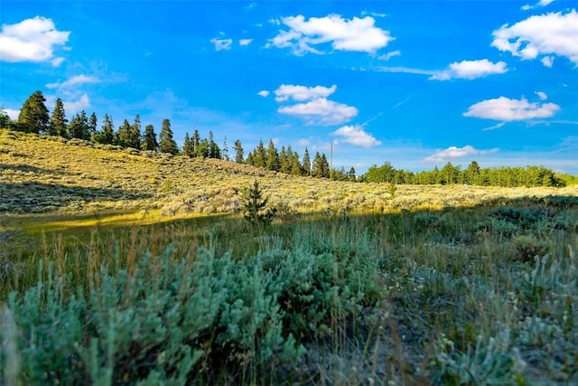 1430 Coil Dr, Fairplay, CO 80440