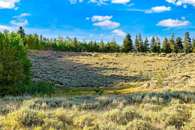 1430 Coil Dr, Fairplay, CO 80440