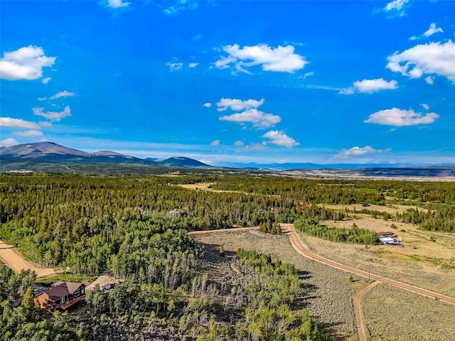 1430 Coil Dr, Fairplay, CO 80440