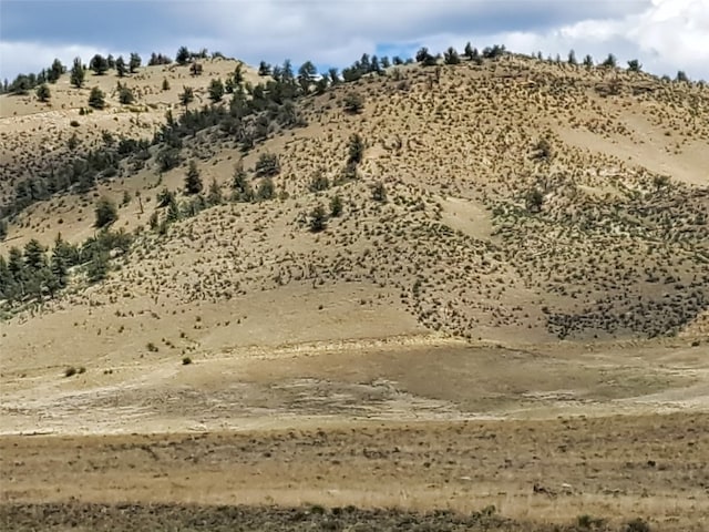 1501 Ranger Hill Rd, Hartsel, CO 80449 - photo 3