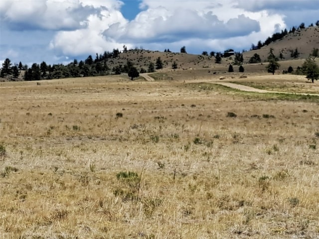 1501 Ranger Hill Rd, Hartsel, CO 80449 - photo 17