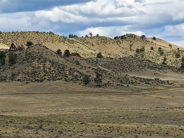 1501 Ranger Hill Rd, Hartsel, CO 80449 - photo 4