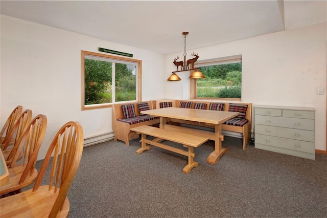 46 Mcdill Rd, Breckenridge, CO 80424 - dining room featuring a baseboard radiator, healthy amount of natural light, and carpet