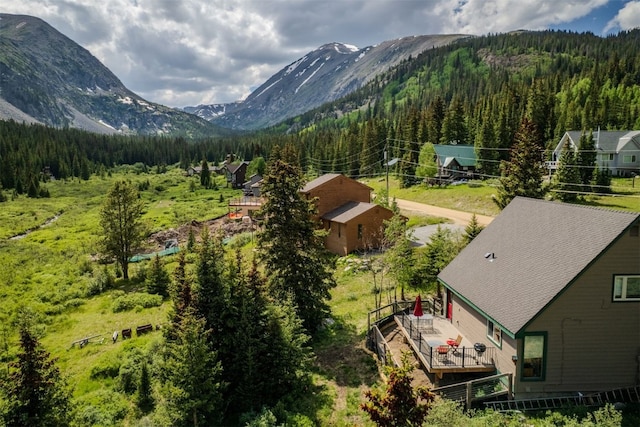 46 Mcdill Rd, Breckenridge, CO 80424 - view of mountain background featuring a heavily wooded area