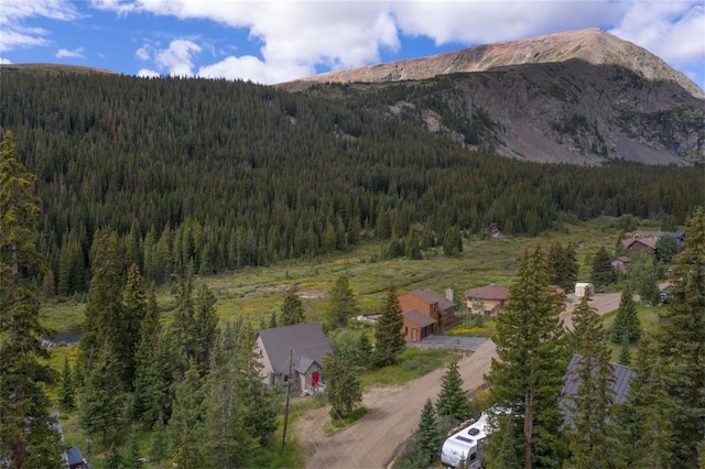46 Mcdill Rd, Breckenridge, CO 80424 - view of mountain background with a heavily wooded area