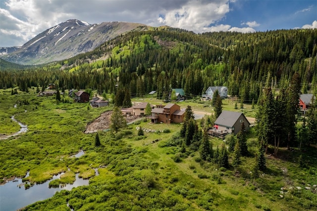 46 Mcdill Rd, Breckenridge, CO 80424 - view of mountain background with a forest