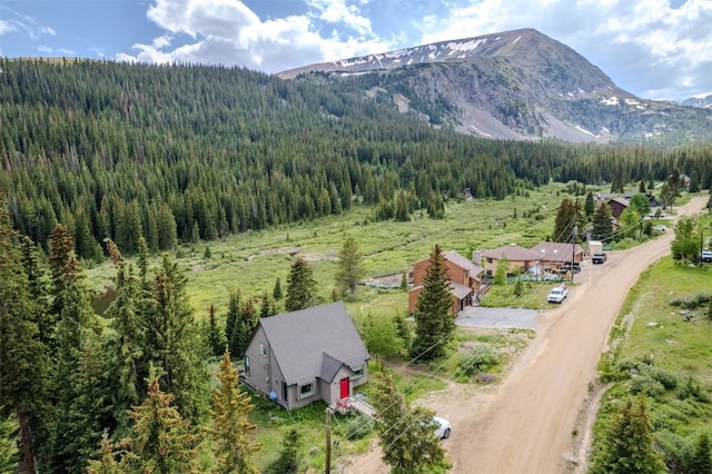 46 Mcdill Rd, Breckenridge, CO 80424 - mountain view with a forest