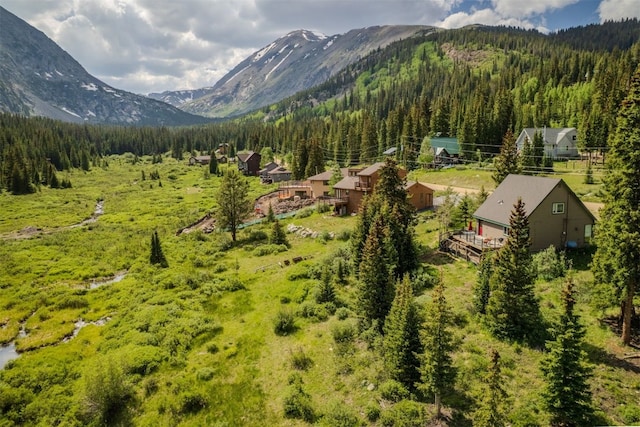 46 Mcdill Rd, Breckenridge, CO 80424 - view of mountain background featuring a forest