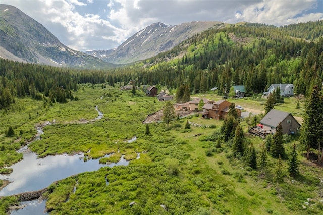46 Mcdill Rd, Breckenridge, CO 80424 - view of mountain background with a heavily wooded area and a large body of water