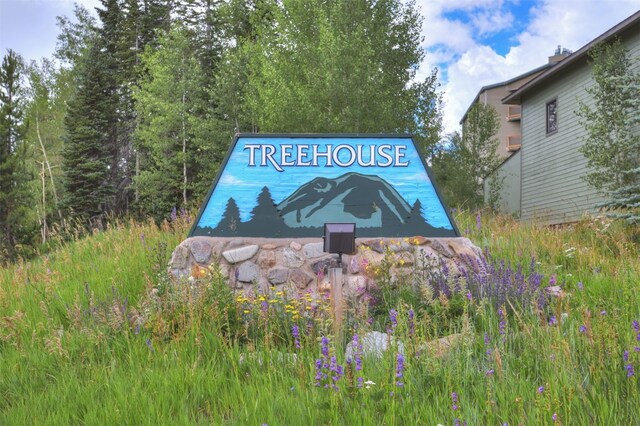 8500 Ryan Gulch Rd Unit G2, Wildernest, CO 80498 - view of community sign