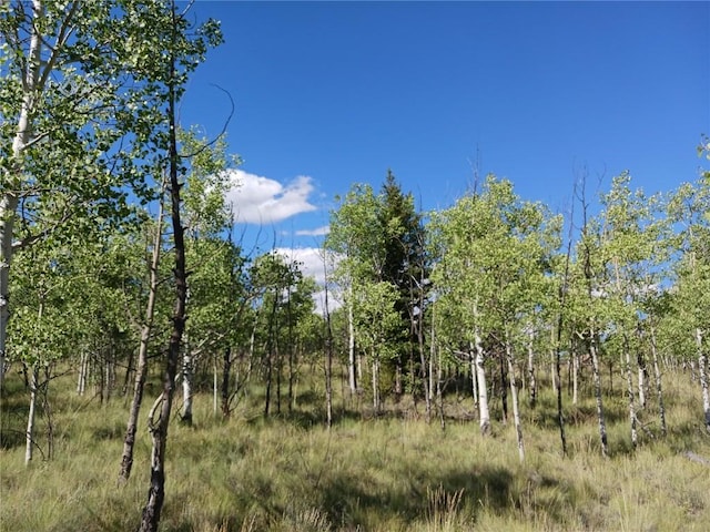 180 N Quarter Horse Rd, Como, CO 80432 - photo 1