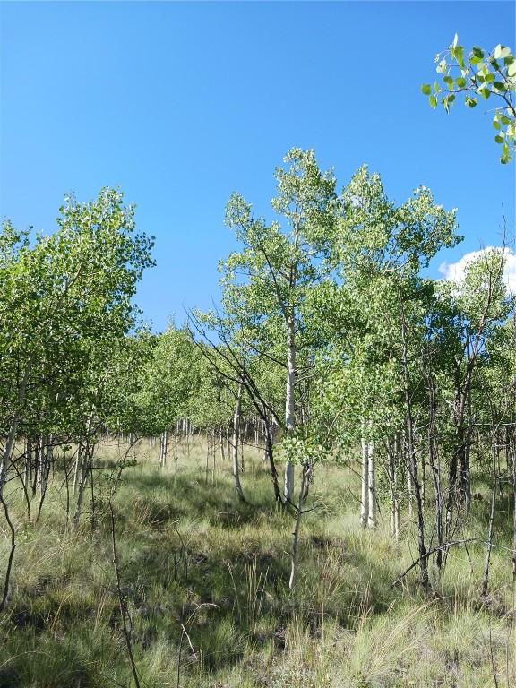 180 N Quarter Horse Rd, Como, CO 80432 - photo 22
