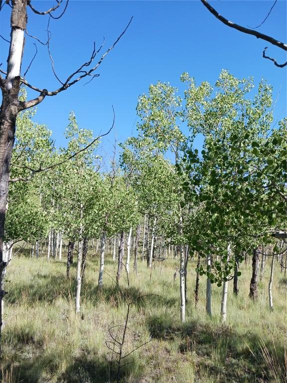 180 N Quarter Horse Rd, Como, CO 80432 - photo 37