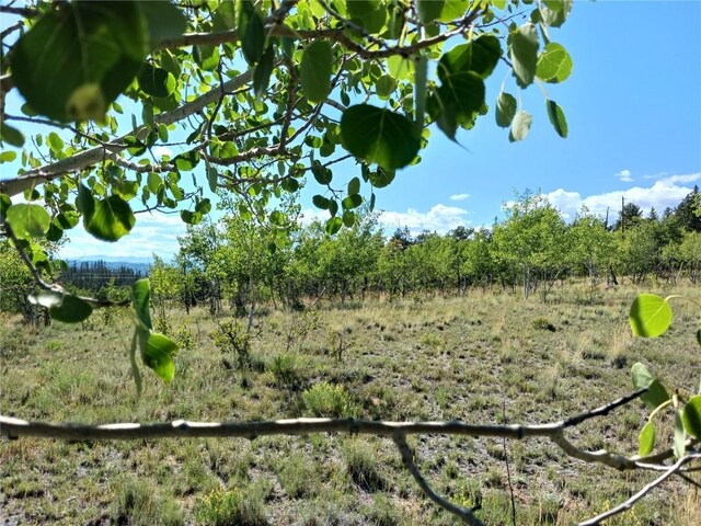 180 N Quarter Horse Rd, Como, CO 80432 - photo 26