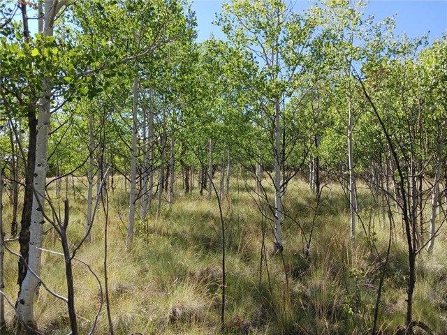 180 N Quarter Horse Rd, Como, CO 80432 - photo 42