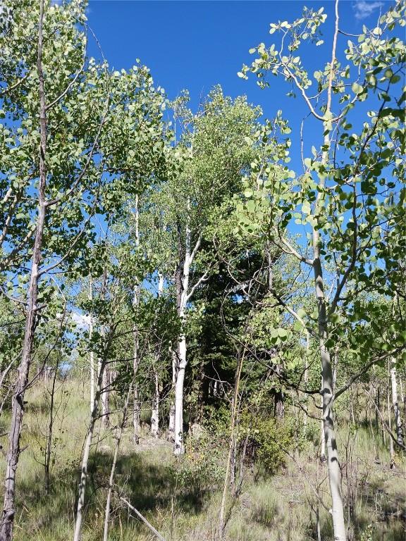 180 N Quarter Horse Rd, Como, CO 80432 - photo 31