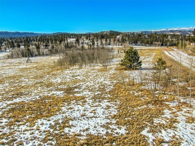 180 N Quarter Horse Rd, Como, CO 80432 - photo 8