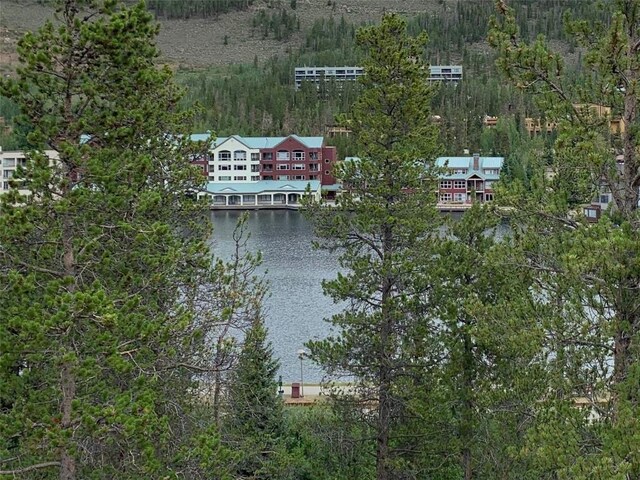 0117 Lake Ridge Cir Unit 1864, Keystone, CO 80435 - photo 12