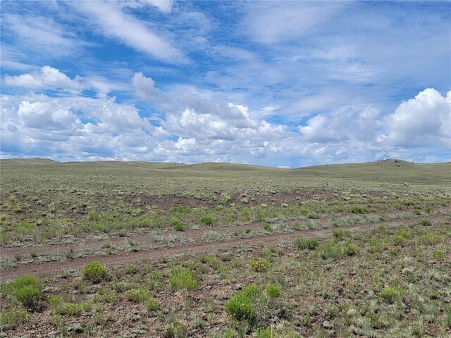 8513 Co, Hartsel, CO 80820 - photo 4