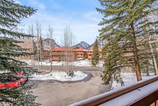 view of snowy yard