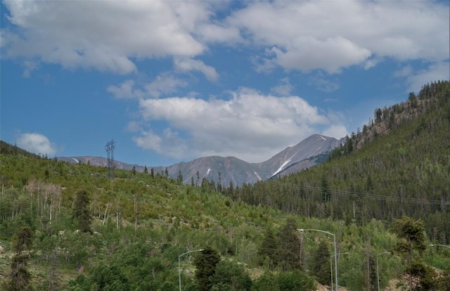 23110 US Highway 6 Unit 319, Keystone, CO 80435 - view of mountain backdrop with a heavily wooded area