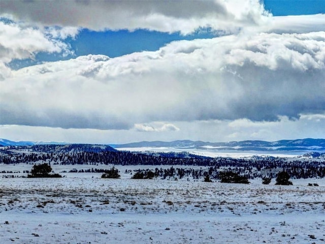 1519 Rocky Mountain Rd, Hartsel, CO 80449