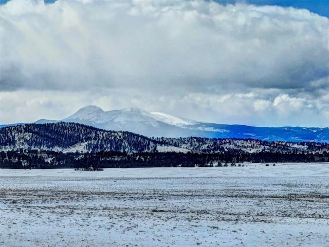 1519 Rocky Mountain Rd, Hartsel, CO 80449