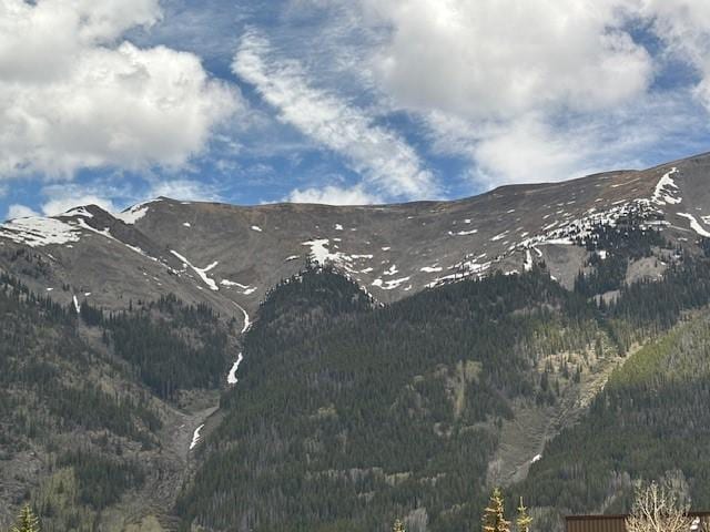 88 Guller Rd Unit 303, Copper Mountain, CO 80443 - photo 22