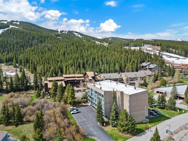 88 Guller Rd Unit 303, Copper Mountain, CO 80443 - photo 28