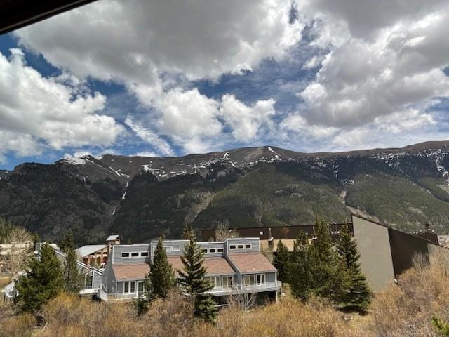 88 Guller Rd Unit 303, Copper Mountain, CO 80443 - photo 21