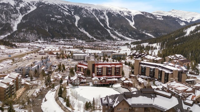 88 Guller Rd Unit 303, Copper Mountain, CO 80443 - photo 31