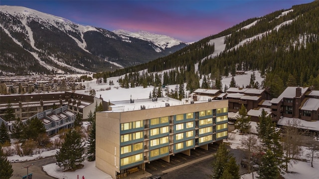 88 Guller Rd Unit 303, Copper Mountain, CO 80443 - photo 33